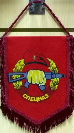 Вымпел спецназ фото