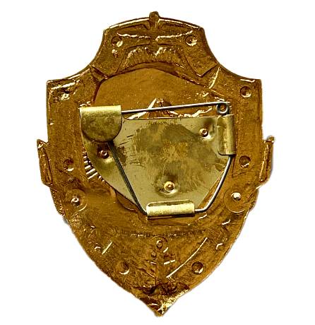Нагрудный знак жетон Дневальный фото