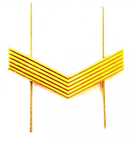 Лычка Ефрейтор золотая металлическая фото