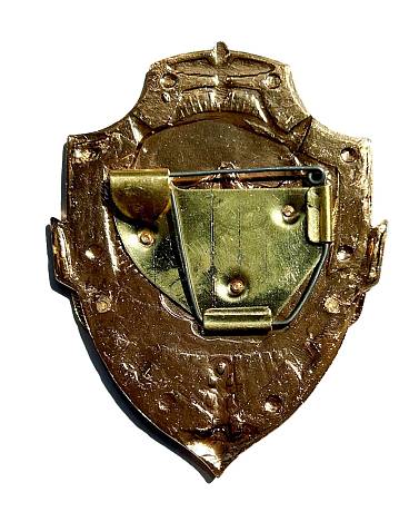 Знак Дежурный по полку фото